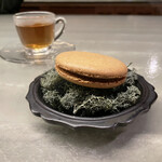 アントシカダ - 