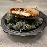 アントシカダ - 