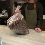 アントシカダ - 