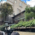 本家 尾張屋 - 大きな泰山木が茂っています。行列は覚悟ですが京都に来たならば訪れたいお蕎麦屋さんですよ♡