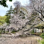 おこわ米八 - 同上