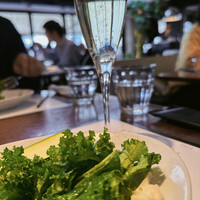 マーサーブランチ テラスハウス - 