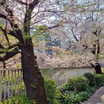 四次元食堂 南インドオステリア - 歩道沿いも見応えあり。