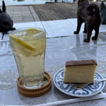 茶房　とうろどう - カステラがついて500円。