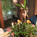 花仙庵 仙仁温泉 岩の湯 - 