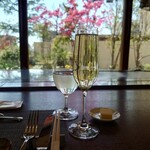 Teppan furenchi kyatoru sezon mori - ●ノンアルコールスパーリングワイン（銘柄不明？）800円
                        最初にぶどうの甘みが来て、果実感と
                        スパーリングワインの炭酸の爽やかさを感じ
                        美味しい味わいだった。