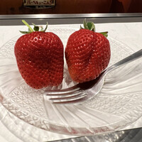 奈良きみや 別邸 柘榴 - 