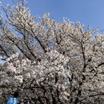 すき焼き キムラ - 