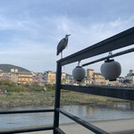 Kawa cafe - 川床からの景色