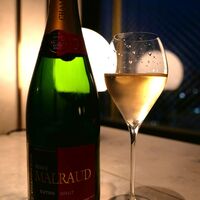 PONGA PREMIUM - 