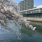 LUNAの世界 - 大岡川のさくら