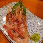 コンペイトウ - 