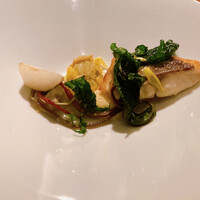Wattle Tokyo - 