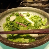 ダイナミックキッチン＆バー 響 カレッタ汐留店  - 京野菜サラダ