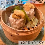 IGOR COSY - 