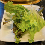 たけちゃん - つつみ野菜（サービス）