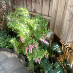 とんかつ一幸 - 