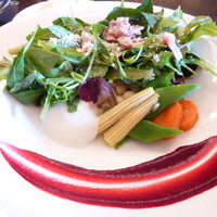 Wattle Tokyo - 