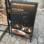 CICADA - 