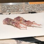 天麩羅 巽 - 蛍烏賊