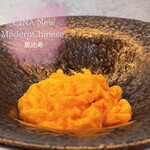 CINA New Modern Chinese - 