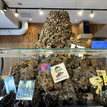 人類みな麺類 - 