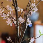 江戸前芝浜 - "櫻花（さくらのはな）"