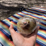 Mokkin Do - 櫻花紅豆包