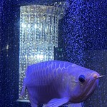 焼肉 拍手喝采 - 