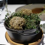 ラ・ヴァガボンド - 