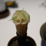 ラ・ヴァガボンド - 