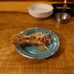 Ebi Robata orb Uratenma Chochin Dori Ten