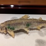 天ぷら たけうち - 大分の稚鮎