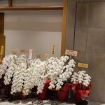 千葉たかおか - 東京ミッドタウン八重洲の3階に出店された「千葉たかおか」さん
      近代的なビルの中に突如現れる白壁に木の扉と暖簾
      看板は扉に小さく表示
      知らない人は何のお店？と訝しがって遠巻きに眺めています