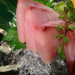 葱ぼうず - 分厚いぶりの刺身