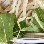ラーメン もっけだの - 2023.4限定『海老塩ラーメン野菜マシマシ』の水菜