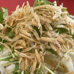 ラーメン もっけだの - 2023.4限定『海老塩ラーメン野菜マシマシ』の干し海老、水菜