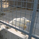 浅間高原農場 - 