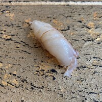 SUSHI TOKYO TEN、 六本木店 - 