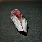 千葉たかおか - 真鯵  ( 金谷、11時水揚げ )