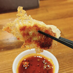 Kokusan Highball Sakaba Hachiichido - Crispy Mini Gyoza – Lifted!