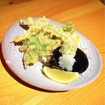 いざかや しん - リクエスト料理の春野菜(山菜)の天ぷらです(o^^o)うど穂先、蕗の薹、こごみ、タラの芽、うどをご用意頂きましたm(_ _)m