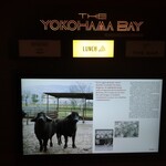 THE YOKOHAMA BAY - 