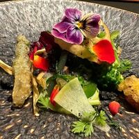 Restaurant COCON (鎌倉古今) - 