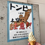 Michi No Eki Ibusuki Sakanakan - おくらソフトクリーム