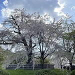 イル ギオットーネ - 