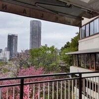 上野精養軒本店 グリル - 