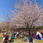 トラットリア エ ピッツェリア アミーチ - 福岡堰さくら公園(つくばみらい市)1