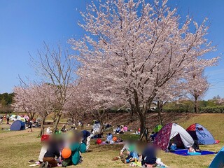 TRATTORIA E PIZZERIA AMICI - 福岡堰さくら公園(つくばみらい市)1