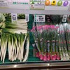 ツルヤ 茅野店